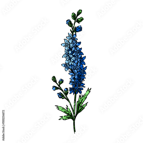 perennial delphinium hand drawn. blooms blue, spikes cottage, garden toxic perennial delphinium vector sketch. isolated color illustration
