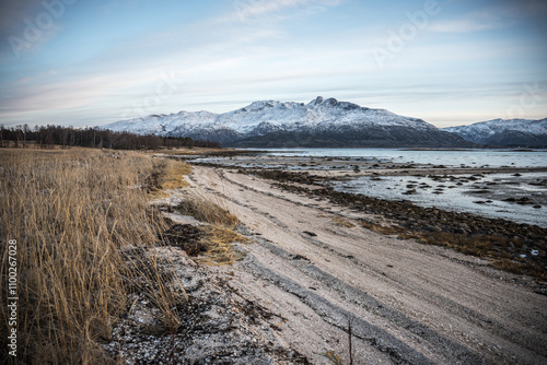 winter on the beach photo