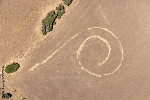 Aerial view of abstract spiral pattern in dry agricultural field surrounded by trees, St Leonards, Victoria, Australia. photo