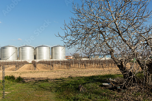 Paisaje de campo con viñas y contenedores de acero inoxidable de vino. photo