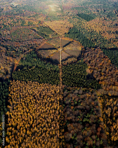 Aerial view of circle park with walking paths leading to oak tree De Eenzame Eik during frost in autumn, Sterrenbos, Amerongse Berg, Utrechtse Heuvelrug, Utrecht, Netherlands. photo