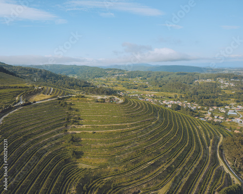 Aerial view of lush grape vines in terraced fields surrounded by hills, Tomino, Spain. photo