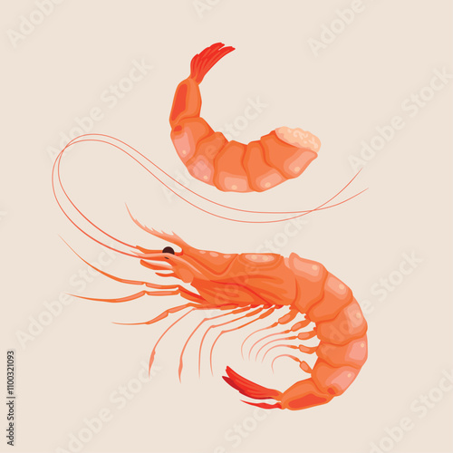 Vector illustration of high detailed shrimp