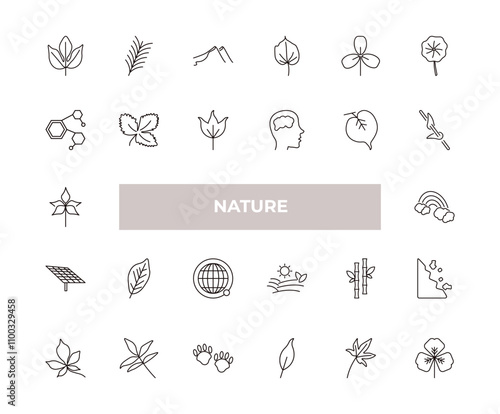 fully editable outline icon collection from nature concept. thin line icons set such as sassafras leaf, yew leaf, chemical structure, liquidambar leaf, trifoliate ternate,