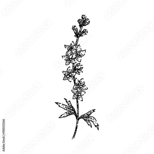 blooms delphinium hand drawn. blue spikes, cottage garden, toxic larkspur blooms delphinium vector sketch. isolated black illustration