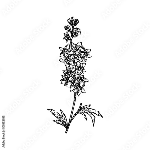 gardening delphinium hand drawn. perennial blooms, blue spikes, cottage garden gardening delphinium vector sketch. isolated black illustration