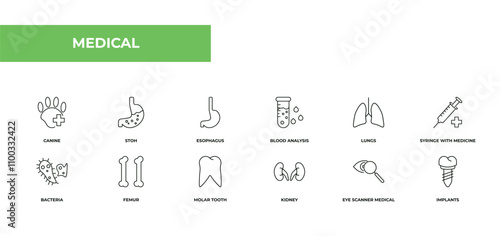 fully editable outline icon collection from medical concept. thin line icons set such as canine, stoh, esophagus, eye scanner medical, implants,