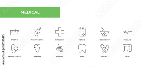 fully editable outline icon collection from medical concept. thin line icons set such as epidermis, tag with a cross, nurse cross, drug pills, colon,