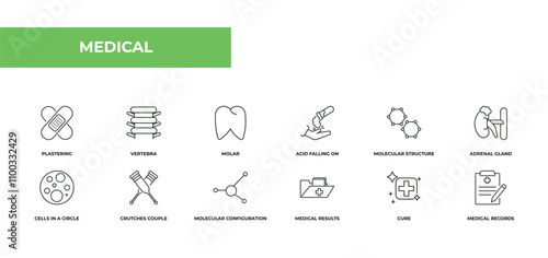 fully editable outline icon collection from medical concept. thin line icons set such as plastering, vertebra, molar, cure, medical records,
