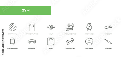 fully editable outline icon collection from gym concept. thin line icons set such as gymnastic ball, training apparatus, roller, pilates ball, fitness belt,