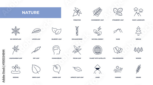 fully editable outline icon collection from nature concept. thin line icons set such as pinnation, gooseberry leaf, lemon leaf, farming, grains,