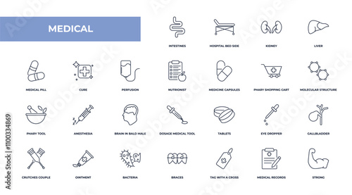 fully editable outline icon collection from medical concept. thin line icons set such as intestines, hospital bed side view, cure, medical records, strong,