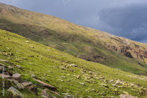 View of alpine meadows enroute to Rupin pass trekking trail in Himachal Pradesh. It is a high altitude trek located at 4650m with Himalayan ranges, glacial meadows and snow-covered landscapes. photo