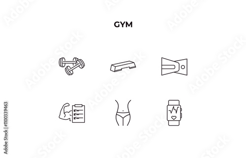 fully editable outline icon collection from gym concept. thin line icons set such as lifting dumbbells, fitness step, lumbar belt, fitness body, fitness tracker,