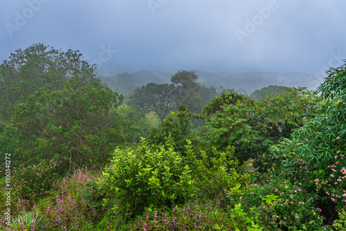 Panoramic view of Pachmarhi valley having clouds and mist shrouded hills rolling on each other from Rajendragiri sunset point in Pachmarchi, Madhya Pradesh, India.