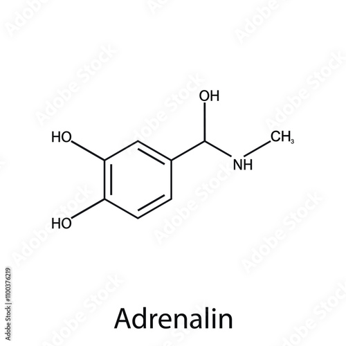 Chemical structure of the hormone epinephrine or adrenaline. Organic chemistry. Vector.