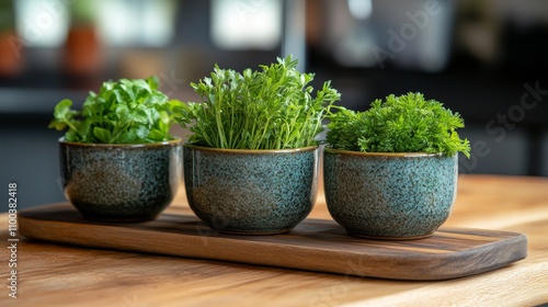 Three pots of fresh herbs sit on a wooden board photo