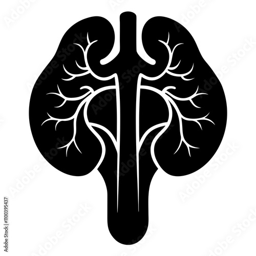 Adrenal Glands vector illustration