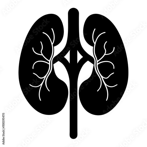 Adrenal Glands vector illustration