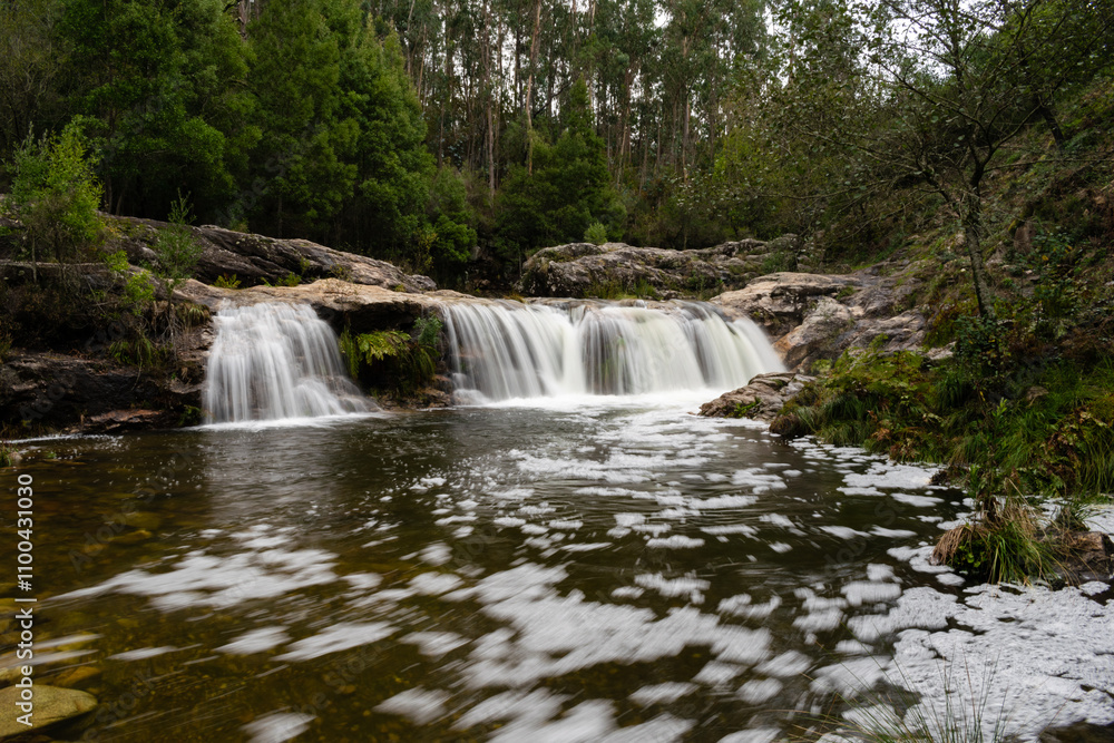Obraz premium Natural pools in the forest surrounded by vegetation and trees. Galicia
