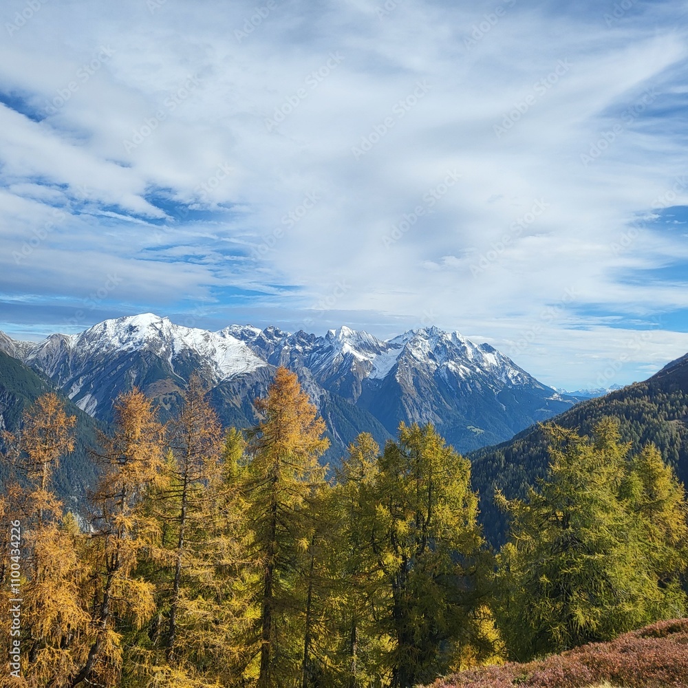 Fototapeta premium der erste Schnee