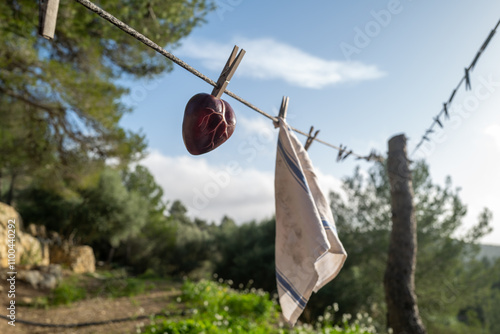 Plastic Heart drying on the washing line outside