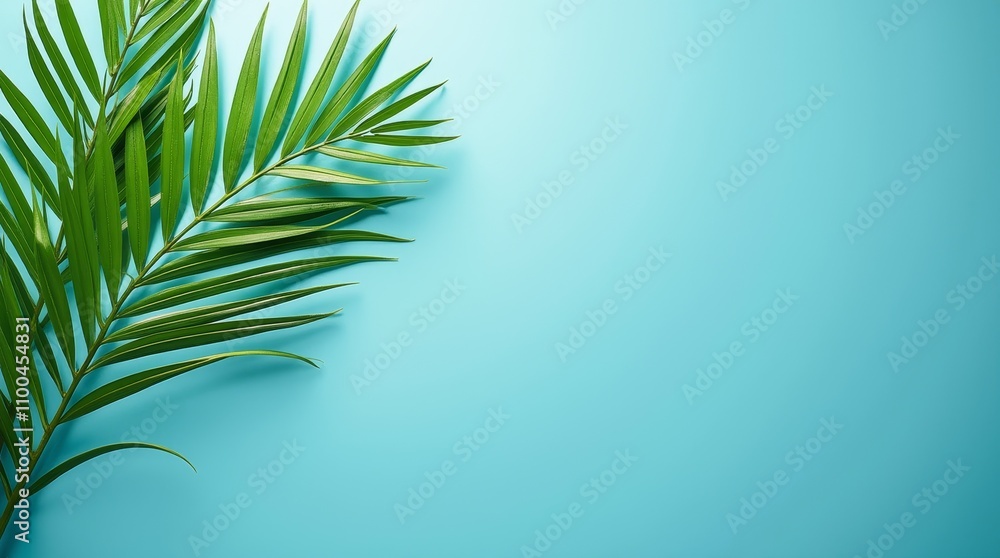Fototapeta premium Spa Scene with Palm Leaf and Blue Background
