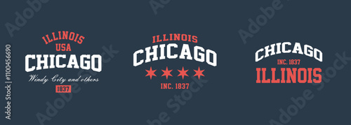Set t-shirt stamps graphic, Illinois travel wear typography emblem Chicago vintage print