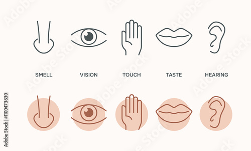 Human senses 5 five types. Vision through eye, smell with nose, taste with tongue line icon set. ENT Otolaryngologist ophthalmologist. Vector illustration on white background