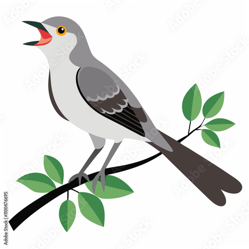 A singing northern mockingbird perched gracefully on a tree branch, showcasing its vibrant song and natural beauty in a detailed illustration or photograph