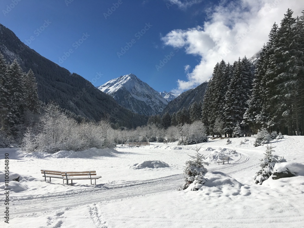 Fototapeta premium Neustift im Stubaital