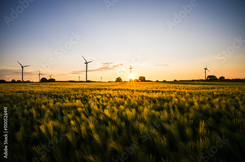 Sonnenuntergang am Feld