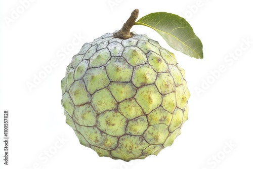 Soursop fruit Sugar Apple Custard Apple on a white background photo