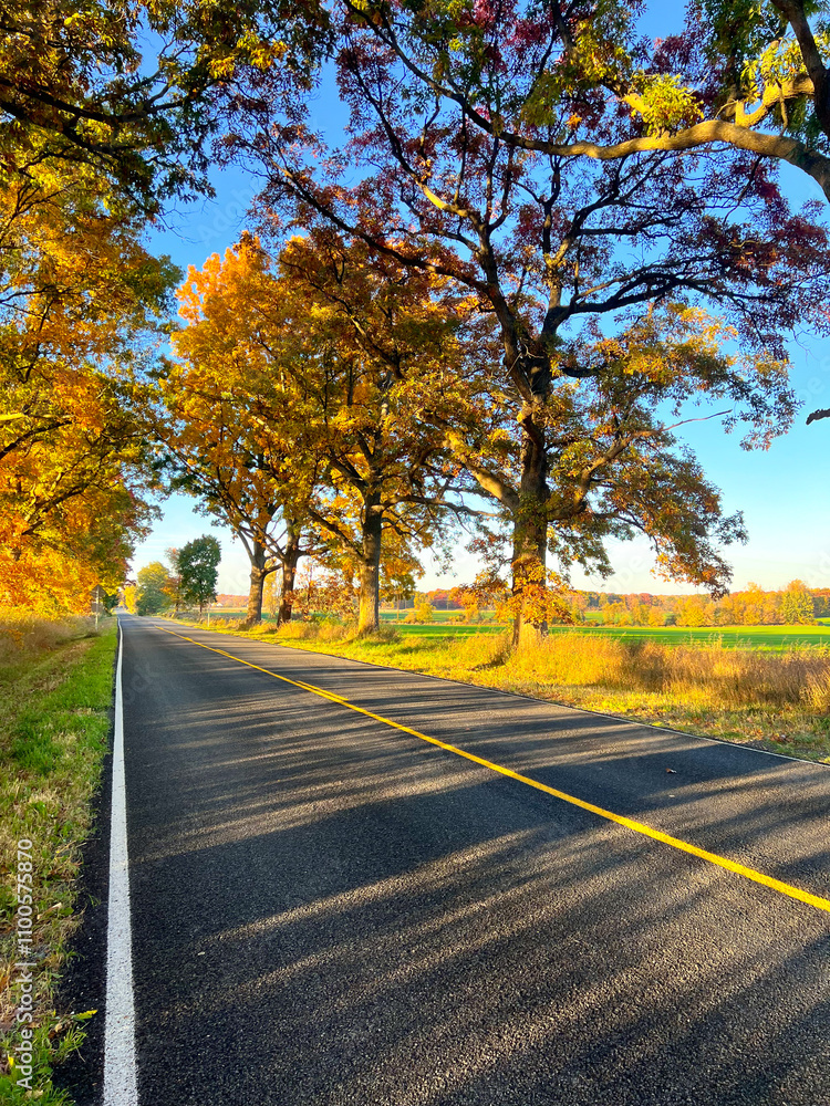 Obraz premium Fall Day Country Road