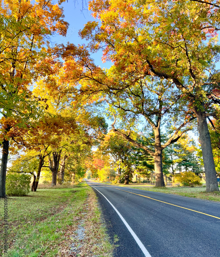 Obraz premium Beautiful Fall Day 