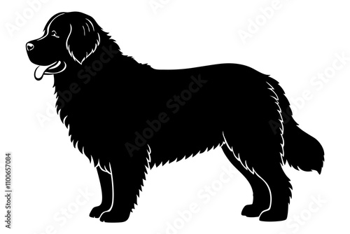 Newfoundland Dog Silhouette Vector Illustration