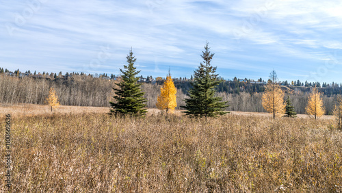 Jan Reimer Park natural area photo