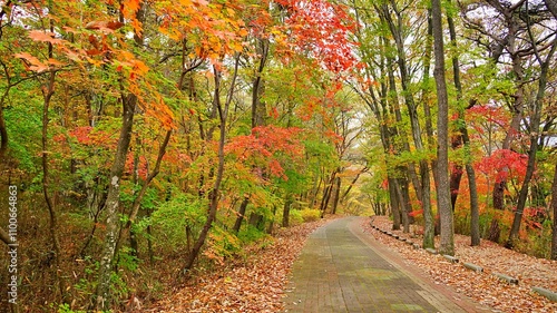 Autumn scenery of Seoknamsa Temple in Korea photo