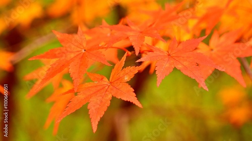 Autumn scenery of Seoknamsa Temple in Korea photo