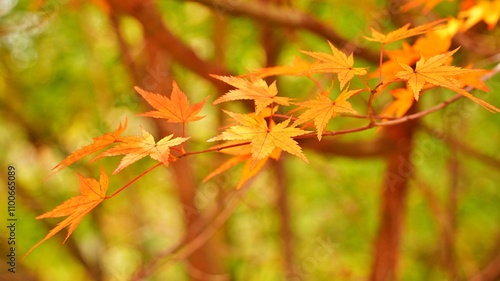 Autumn scenery of Seoknamsa Temple in Korea photo