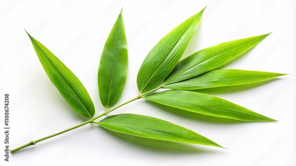 Fototapeta premium Fresh Green Bamboo Leaves Isolated on White Background for Zen Aesthetic, Highlighting Nature's Simplicity and Tranquility in Fashion Photography Context