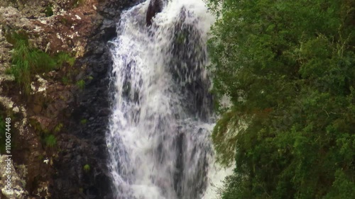 Waterfall forest landscape