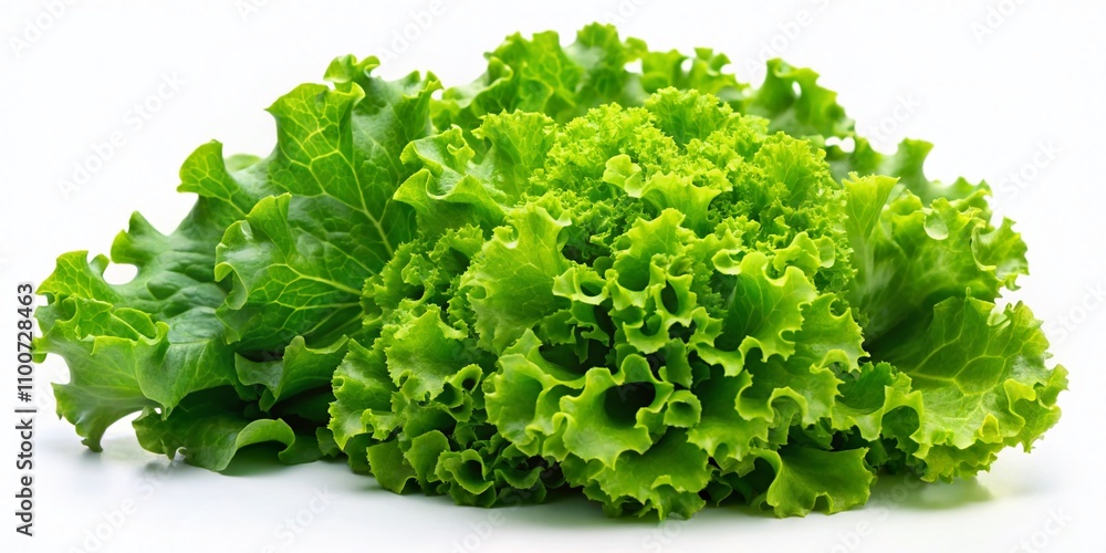 Obraz premium Night Photography of Fresh Green Leaf Lettuce Isolated on White Background, Capturing the Crisp Texture and Vibrant Color Under Low Light Conditions