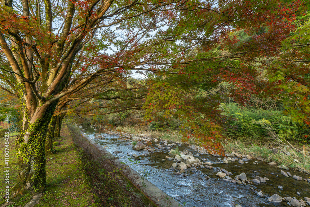 Fototapeta premium 青井岳自然公園の秋模様