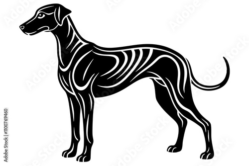 Sloughi Dog Silhouette Vector Illustration on White Background