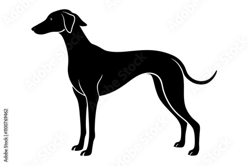 Sloughi Dog Silhouette Vector Illustration on White Background