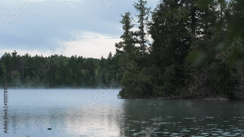 morning on the lake