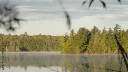 morning lake with mist