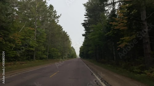 road in the forest