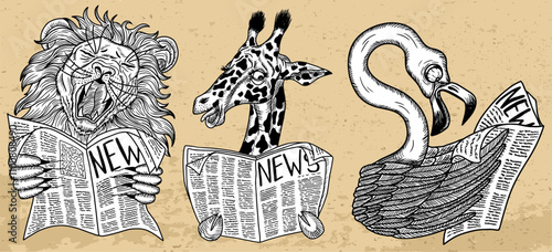 Design set with vector illustrations of cartoon funny lion, giraffe and flamingo surprised to read the news against textured background. Hand drawn clip arts of animals reading a newspaper. 